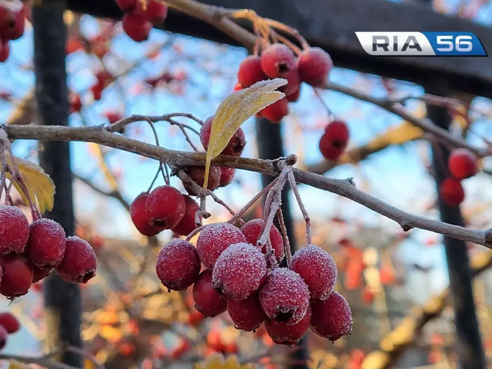 Фото из поста