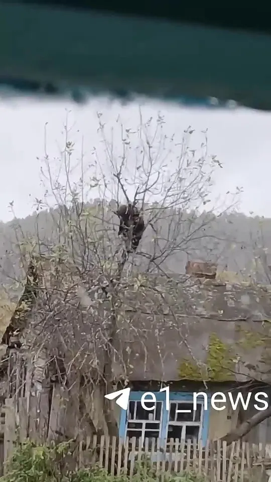 Обложка видео