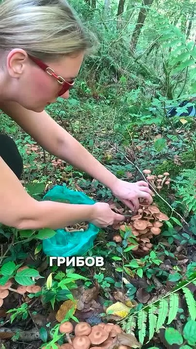 Обложка видео