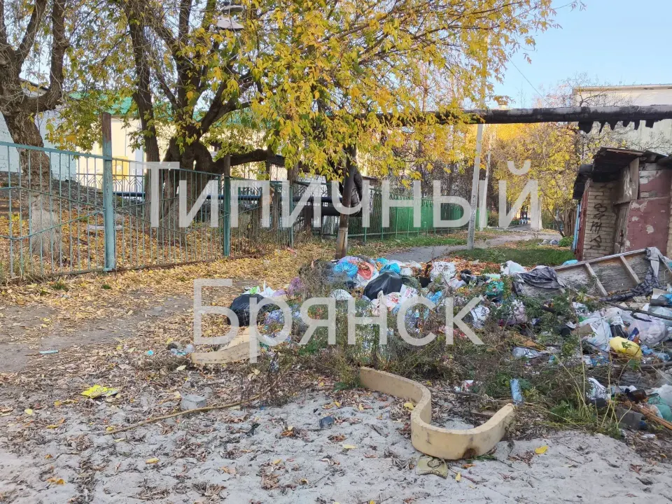 Фото из поста