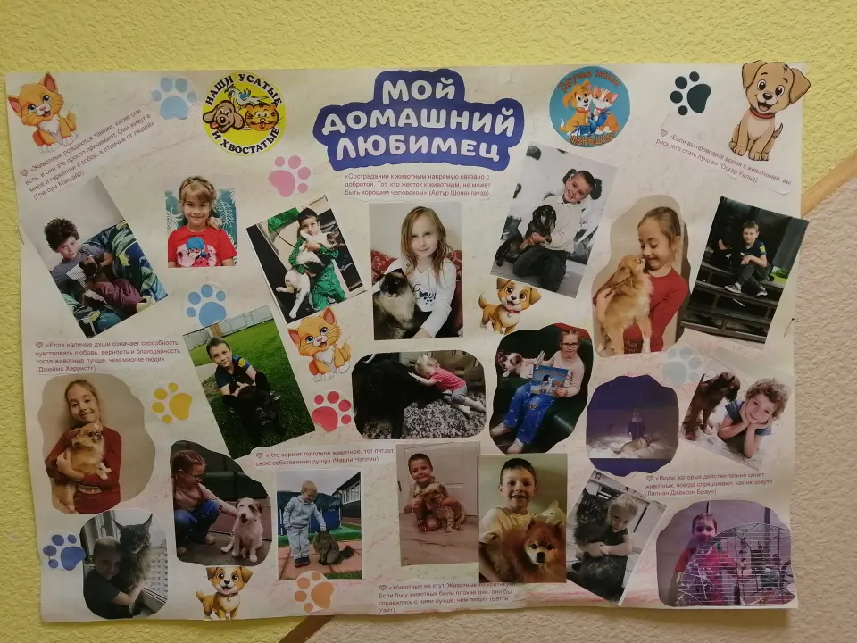 Фото из поста