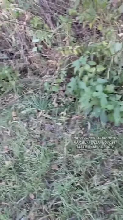 Обложка видео