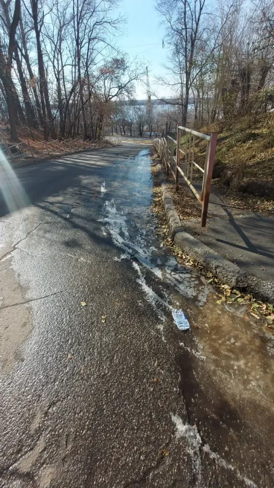 Фото из поста