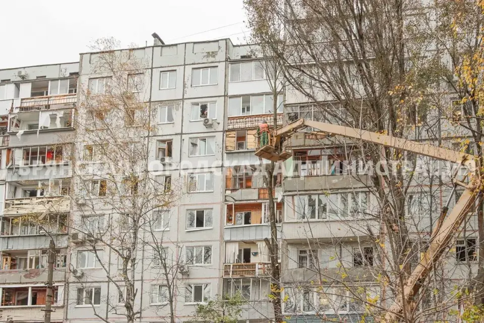 Фото из поста