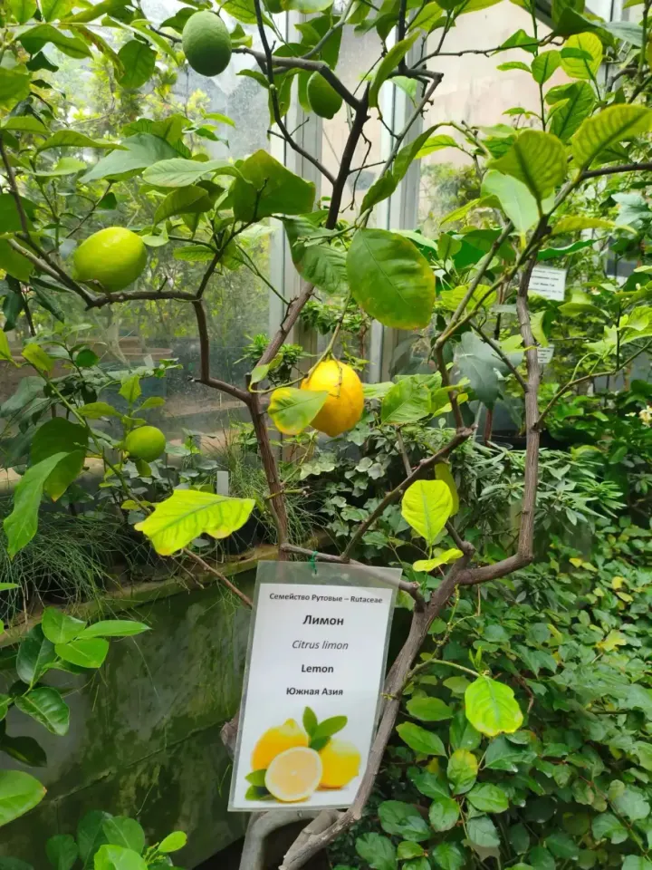 Фото из поста