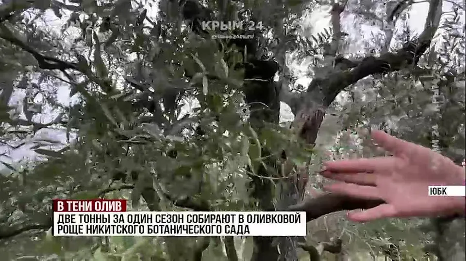 Обложка видео