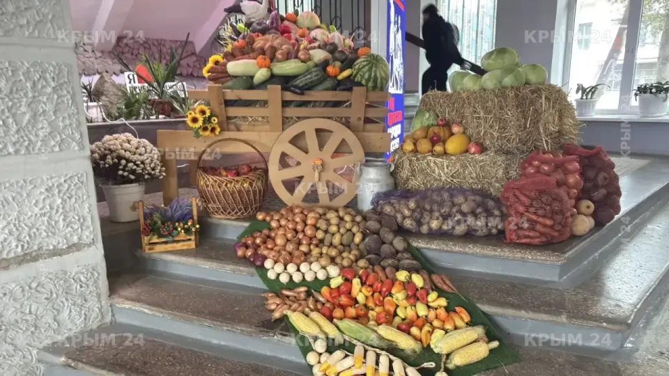 Фото из поста