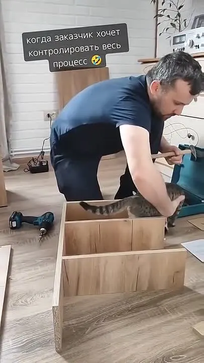 Обложка видео