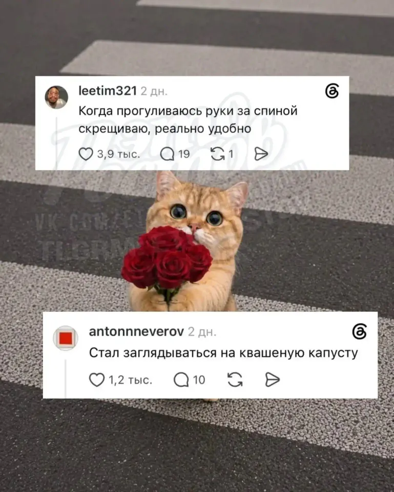 Фото из поста