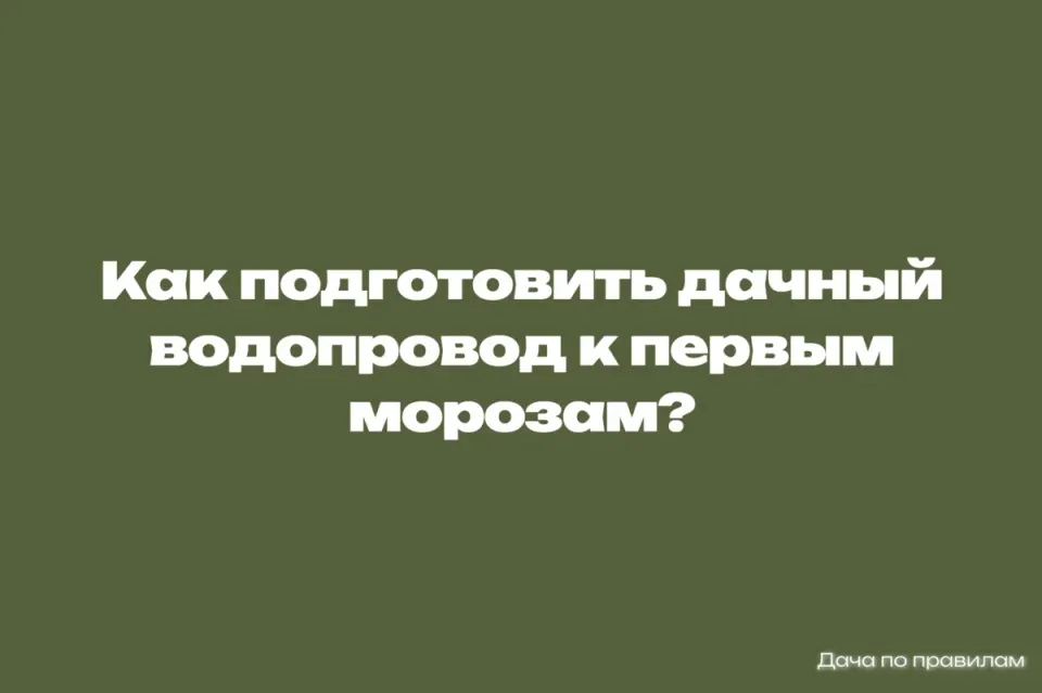 Фото из поста