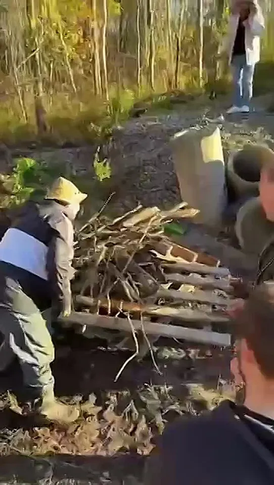 Обложка видео