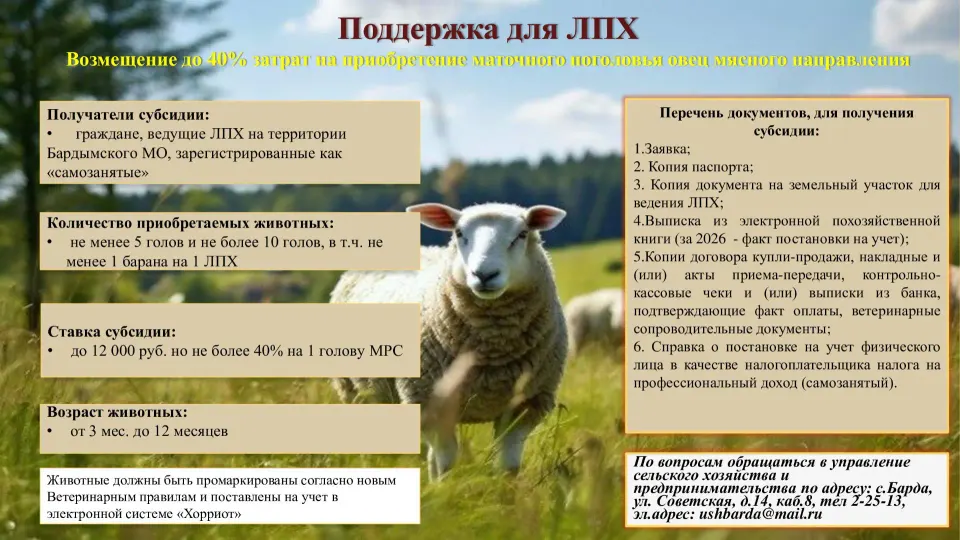 Фото из поста