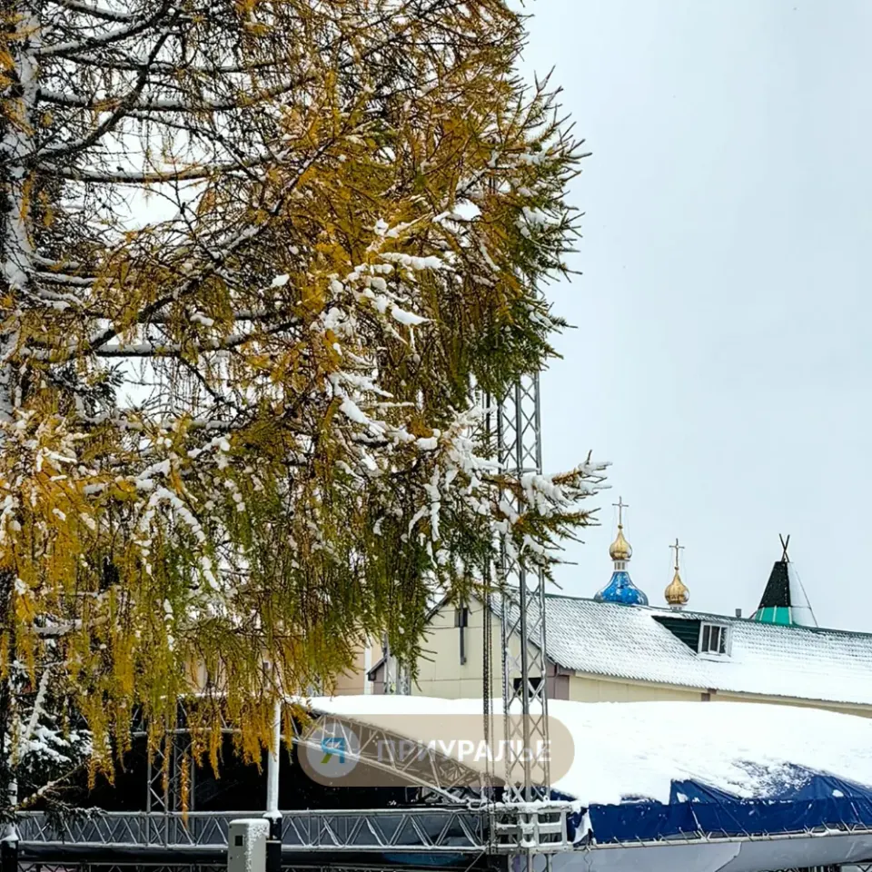 Фото из поста