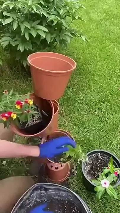 Обложка видео