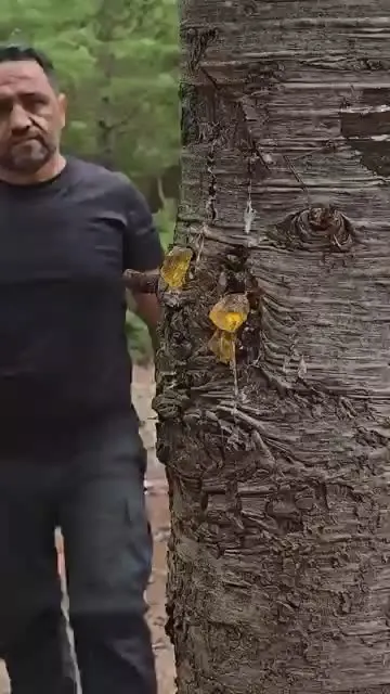 Обложка видео
