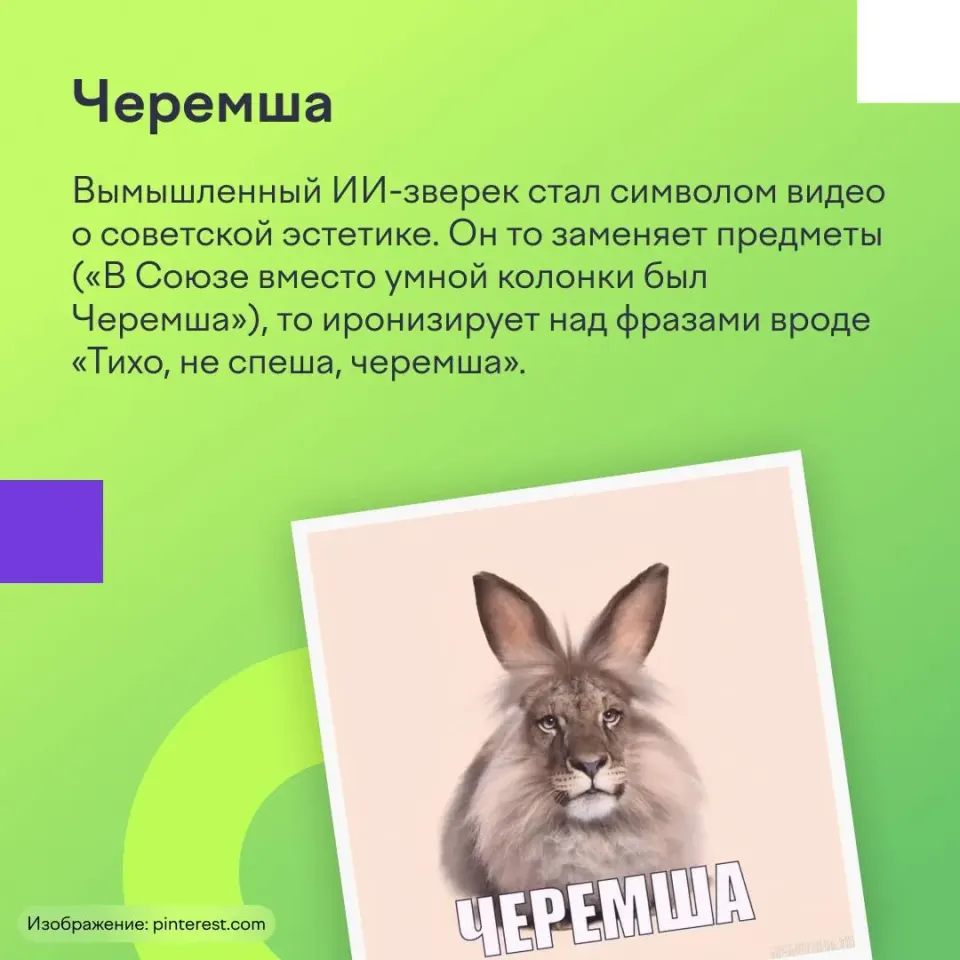 Фото из поста
