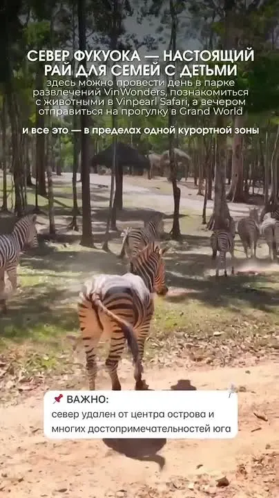 Обложка видео