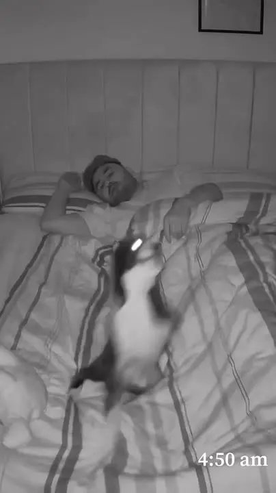 Обложка видео