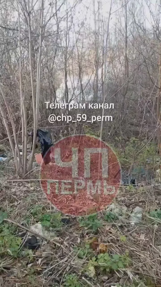 Обложка видео