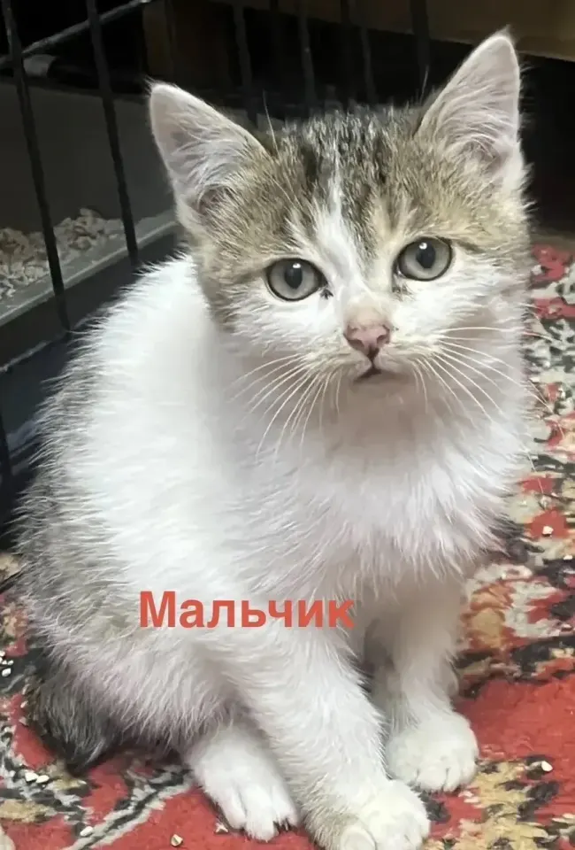 Фото из поста