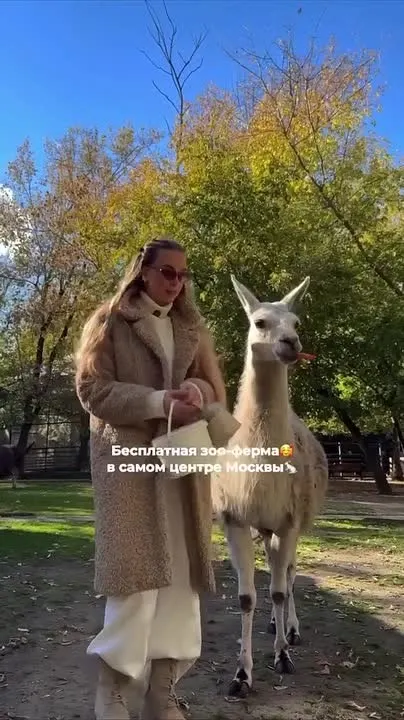 Обложка видео