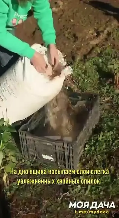 Обложка видео