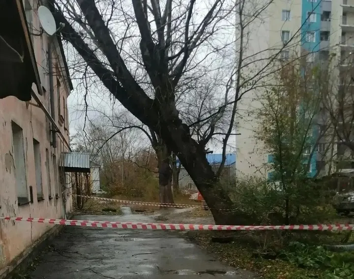 Фото из поста