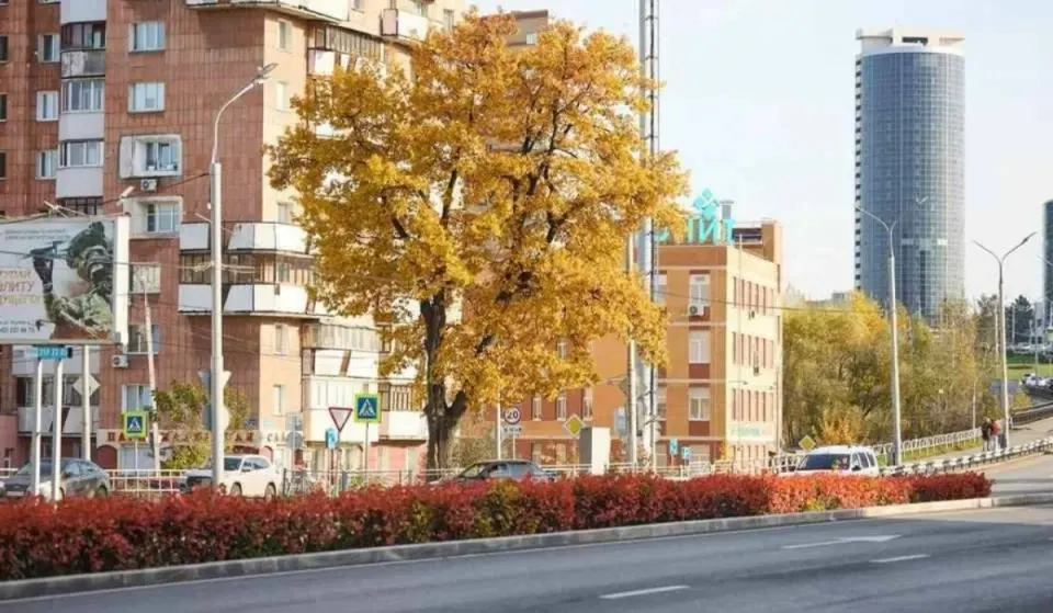 Фото из поста