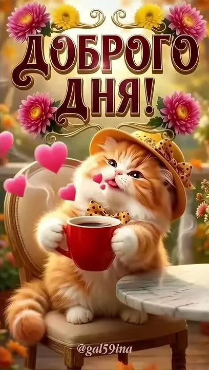 Обложка видео