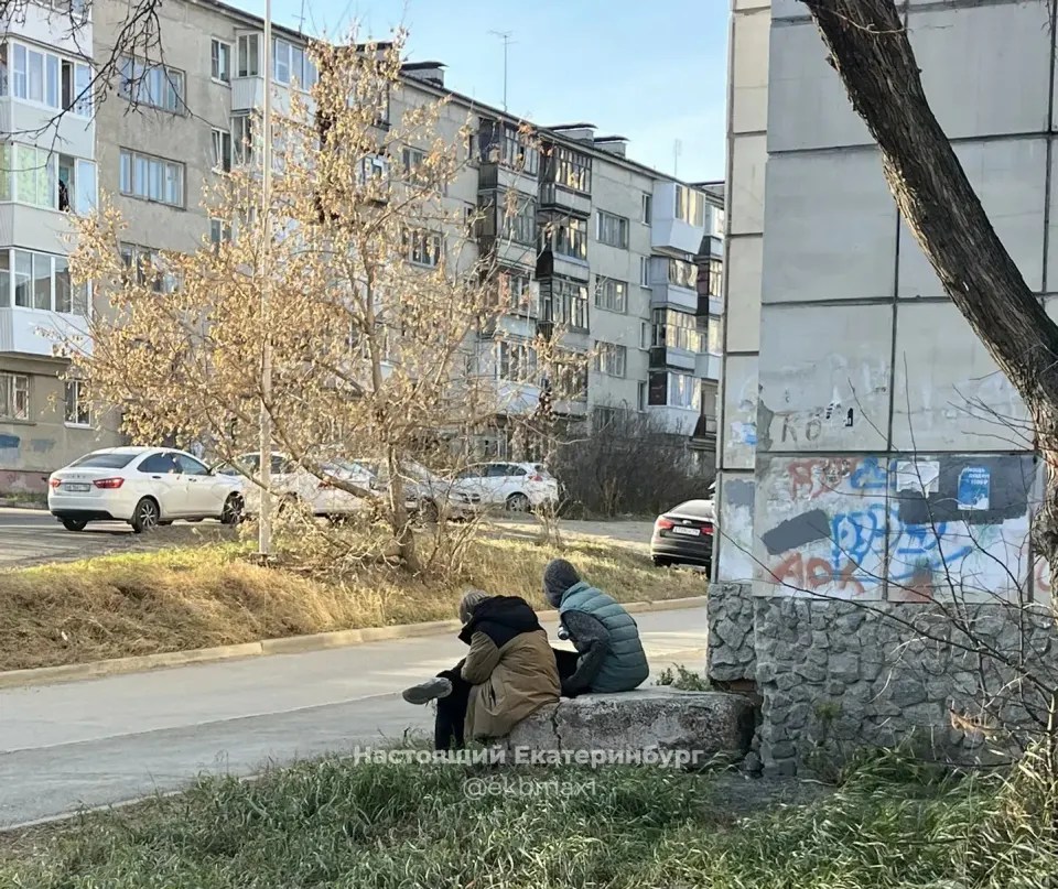 Фото из поста