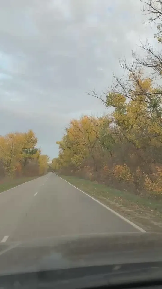 Обложка видео