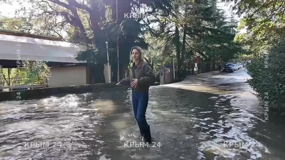 Обложка видео