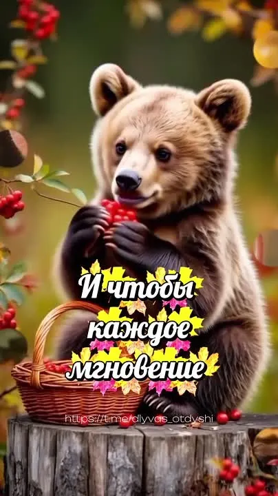 Обложка видео