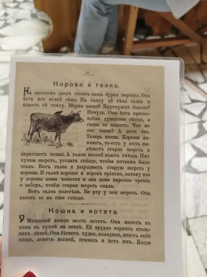 Фото из поста