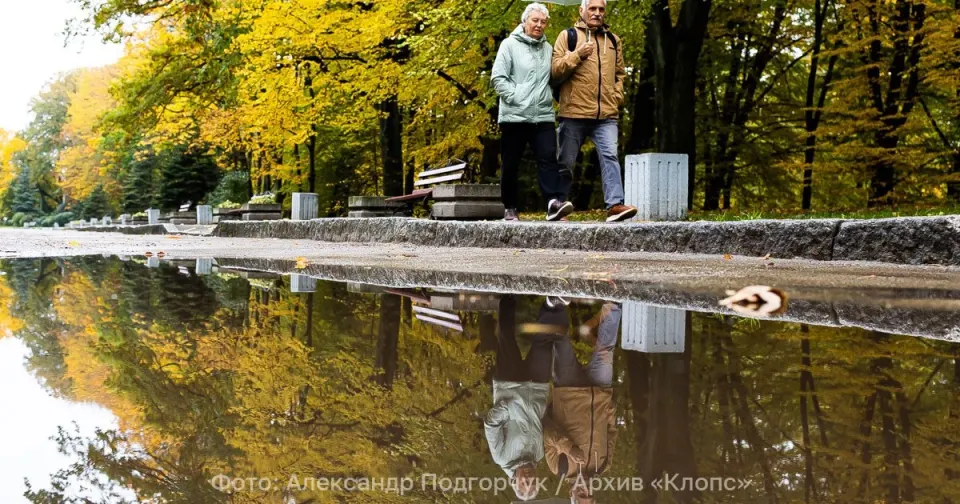 Фото из поста