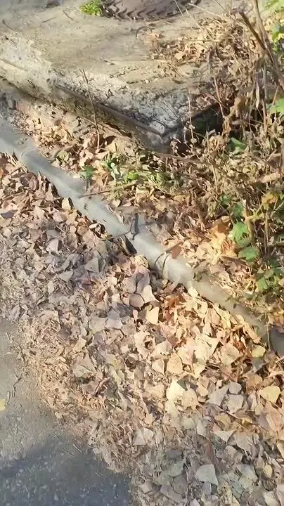Обложка видео