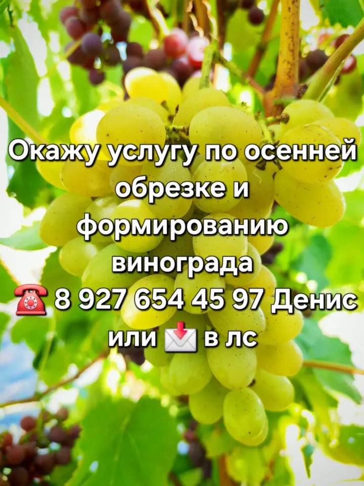 Фото из поста