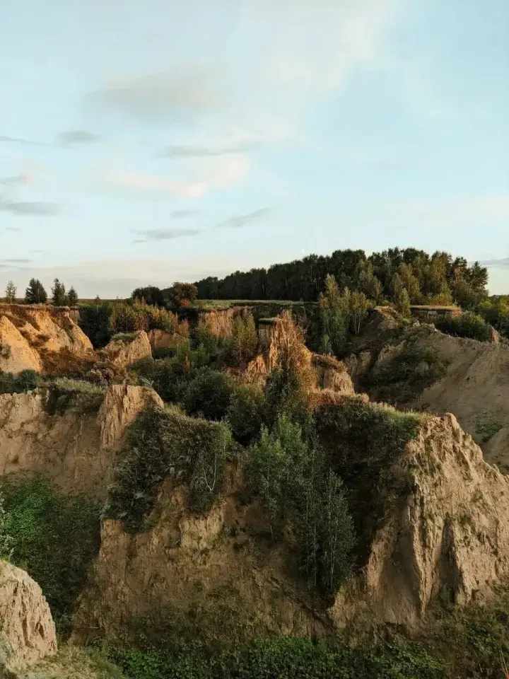 Фото из поста
