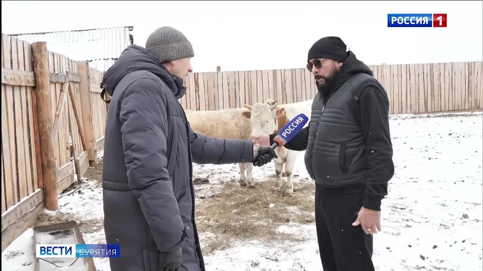 Обложка видео
