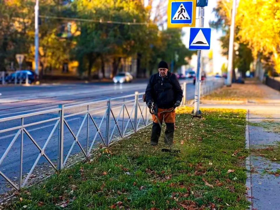 Фото из поста