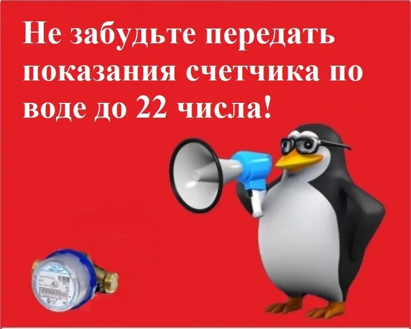 Фото из поста
