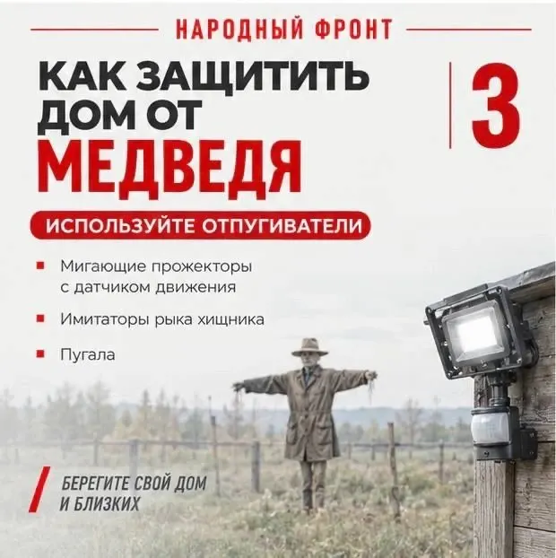 Фото из поста