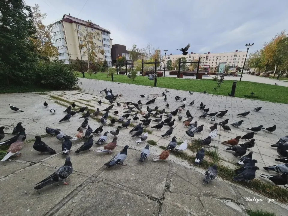 Фото из поста