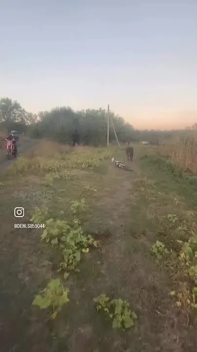 Обложка видео