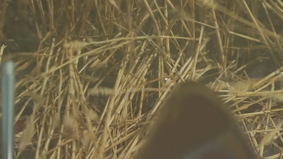 Обложка видео