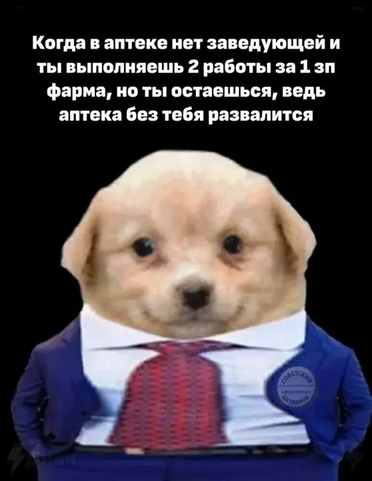 Фото из поста