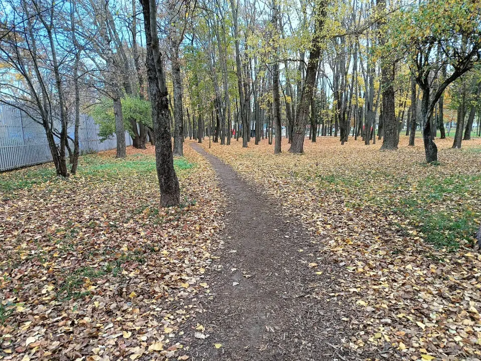 Фото из поста