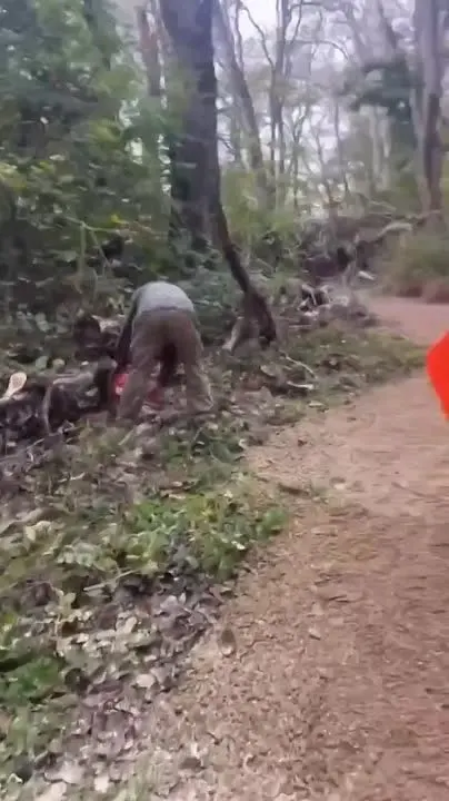 Обложка видео