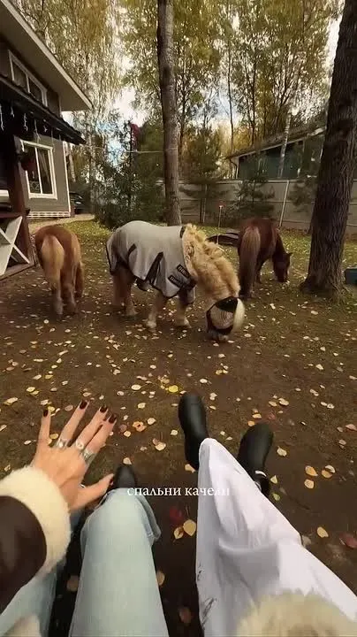 Обложка видео