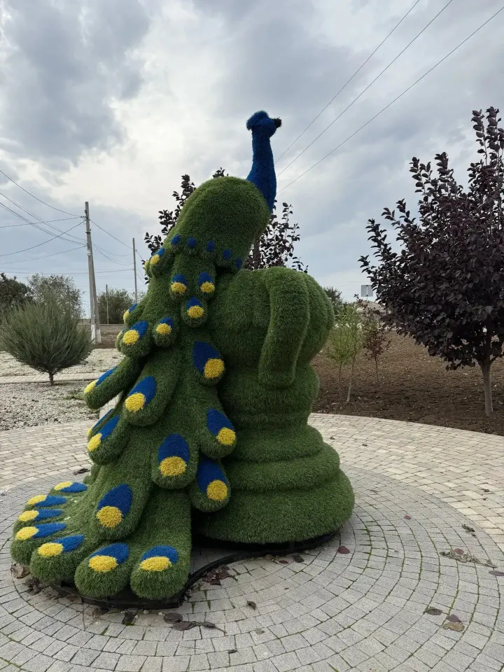 Фото из поста